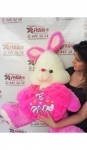 Peluche Conejo Tierno